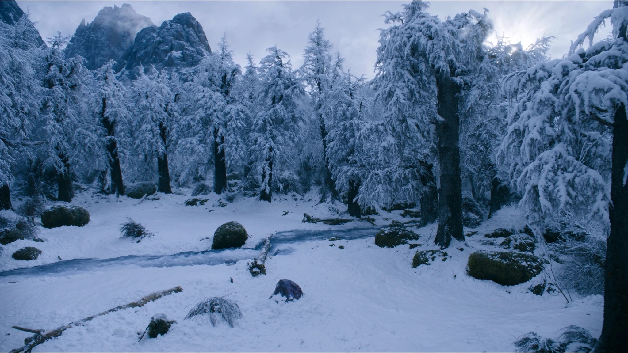 이미지 1 / 설원 배경